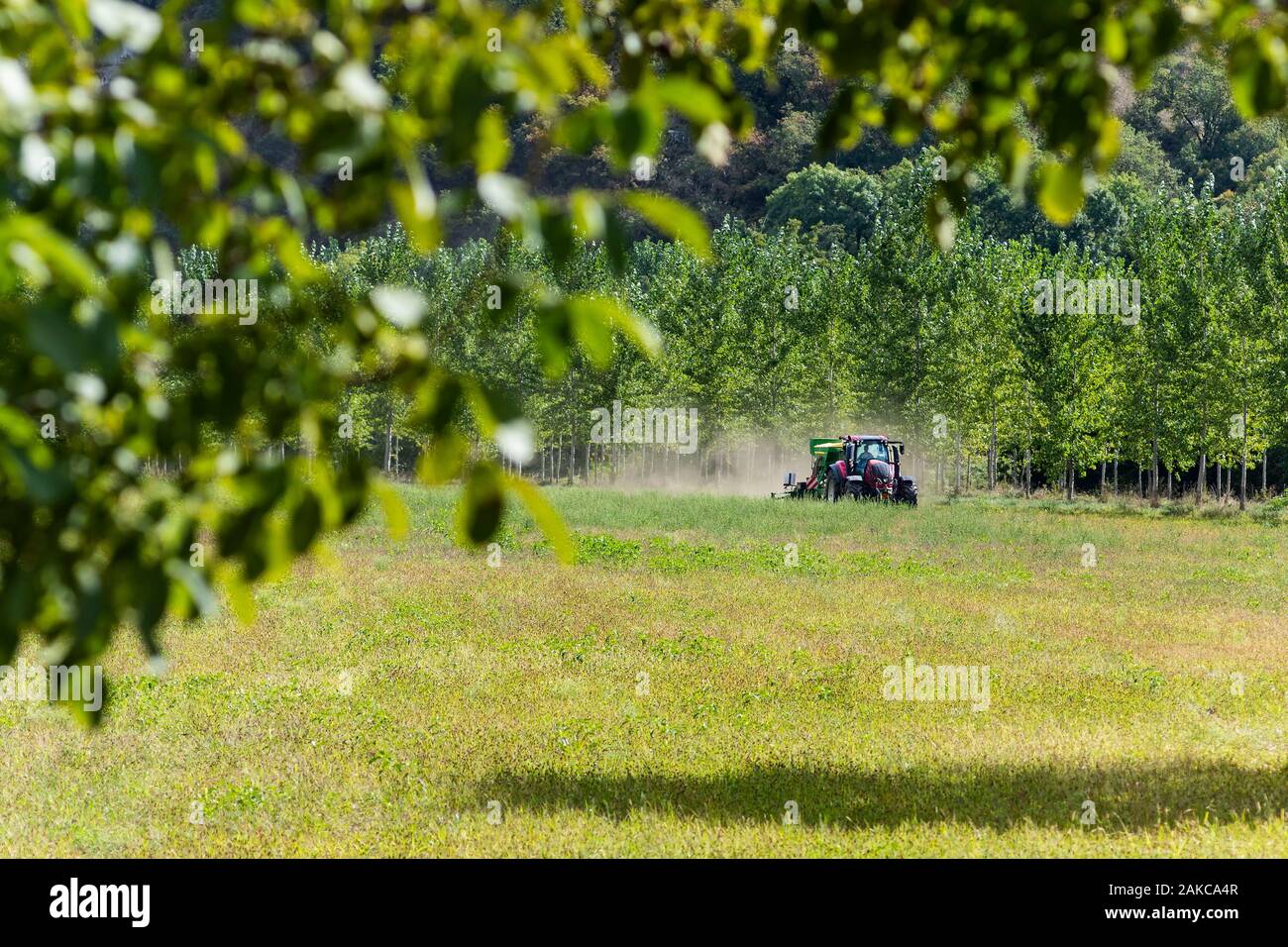 France, Lot, Quercy, Géoparc du champ cultivé domaine de Saint-Gery Banque D'Images