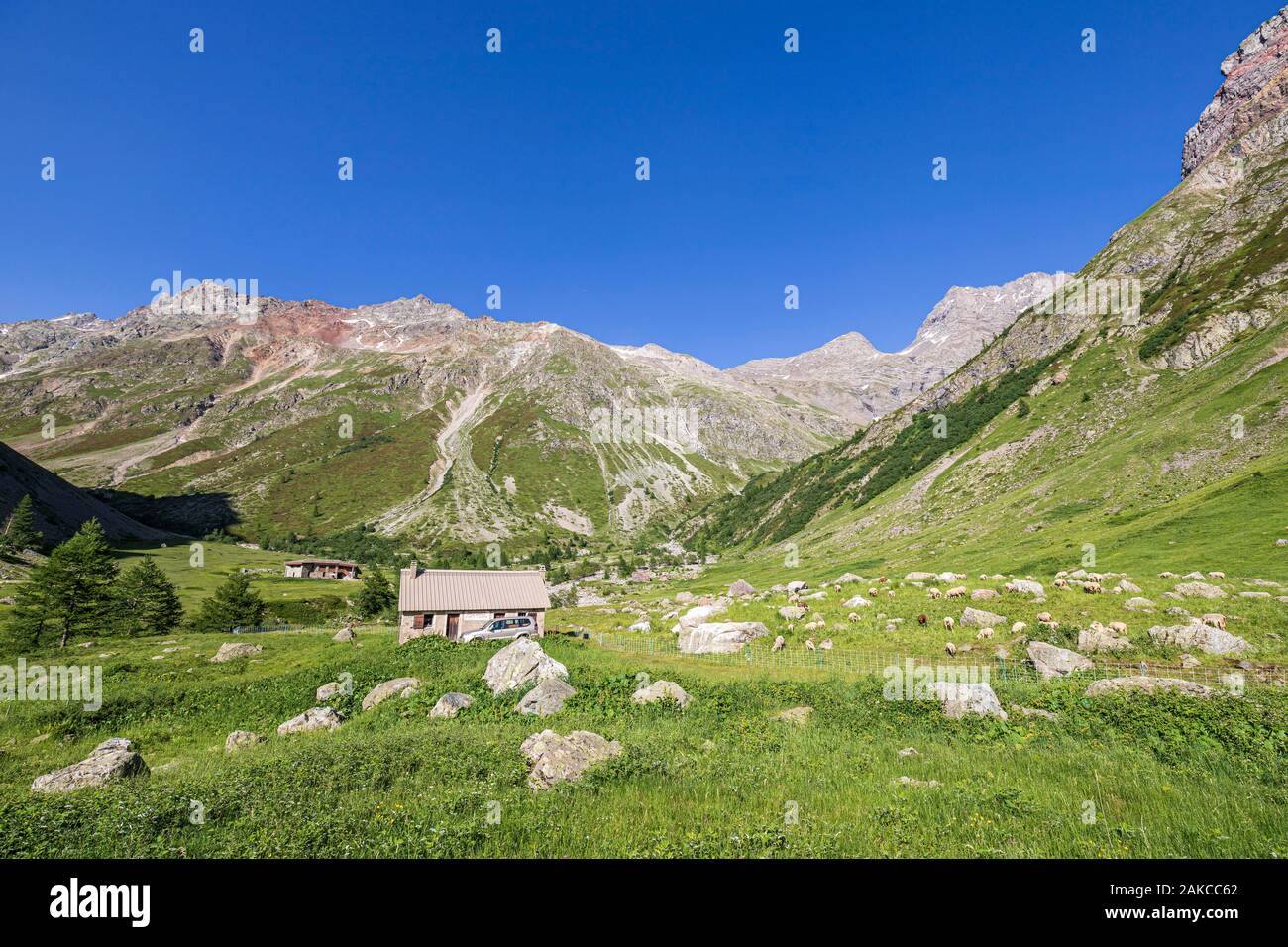 France, Hautes Alpes, Parc National des Ecrins, vallée du Champsaur