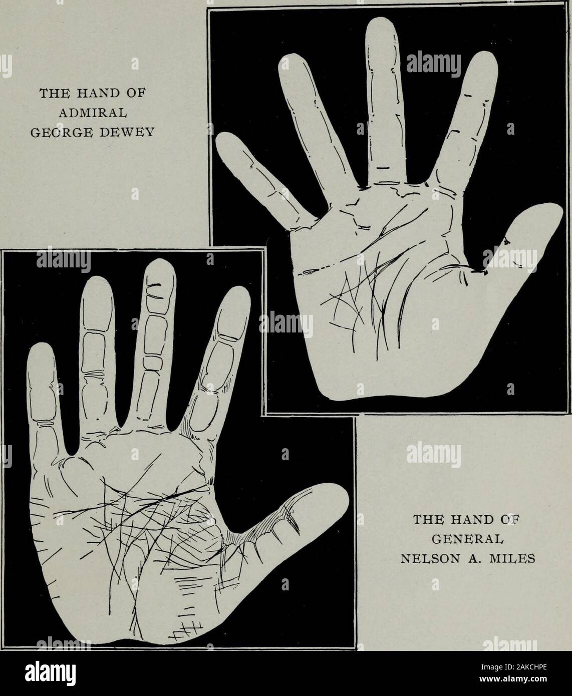 La science de la chiromancie Perin ; un traité complet et authentique . La main de Thomas A. Edison, prises par les rayons X. 245 LA PART DE L'AMIRAL GEORGE DEWEY. La main du général Nelson A. MILES 247 Banque D'Images