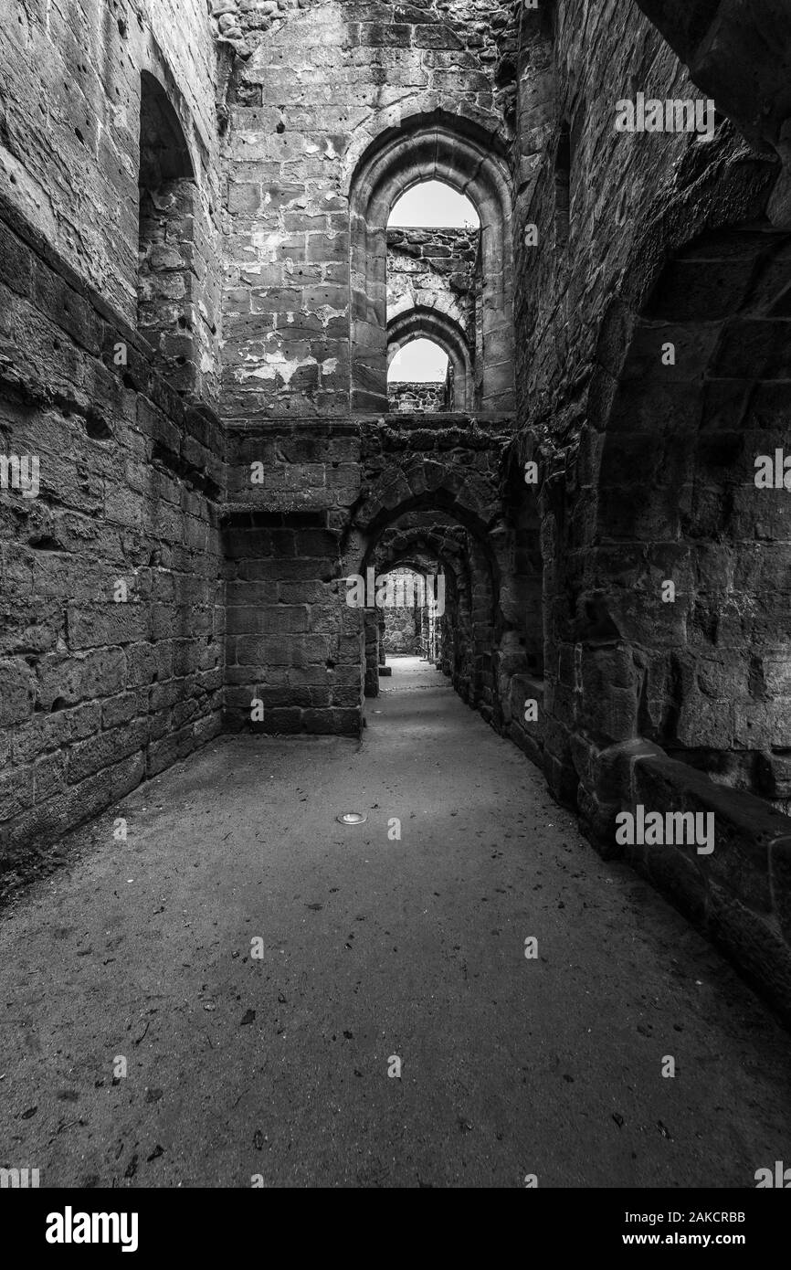 Les ruines de Burg Oybin, fondée en tant que monastère Celestines en 1369 dans les montagnes de Zittau sur la frontière de l'Allemagne (Saxe) avec la République tchèque. Bl Banque D'Images