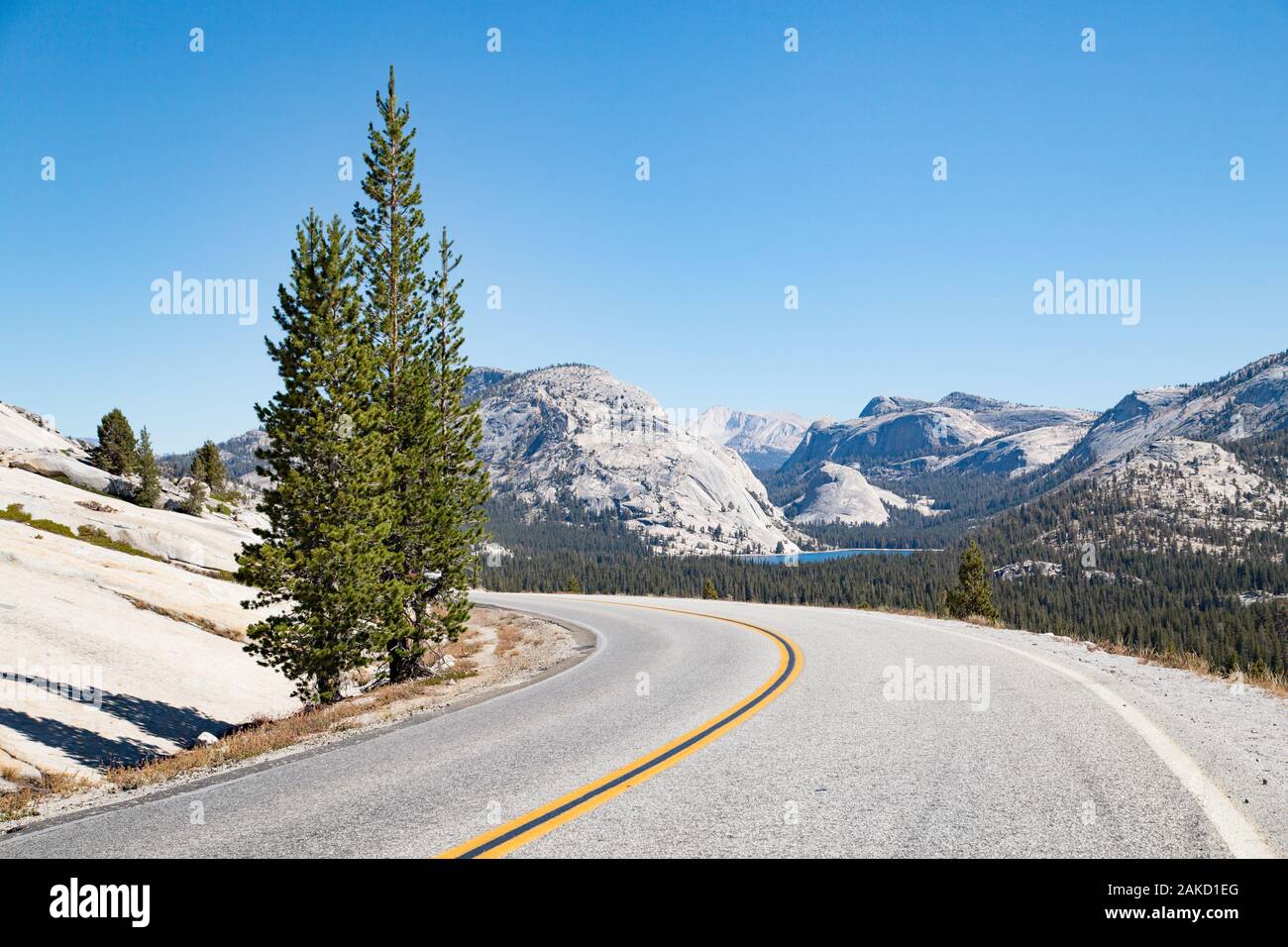 Vide route qui traverse la Sierra Nevada avec le paysage de montagne aux beaux jours en été, Yosemite National Park, California, USA Banque D'Images