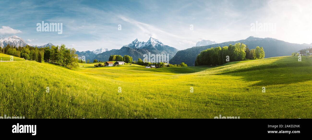 Belle vue sur le paysage de montagne alpin idyllique de fleurs de prairies et snowcapped mountain peaks sur une belle journée ensoleillée avec ciel bleu au printemps Banque D'Images