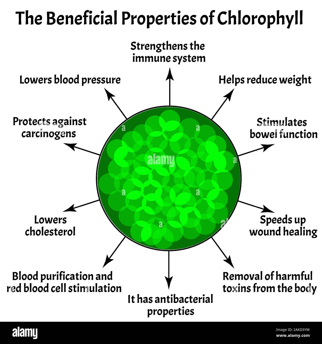 Propriétés utiles de la chlorophylle. La structure de la chlorophylle