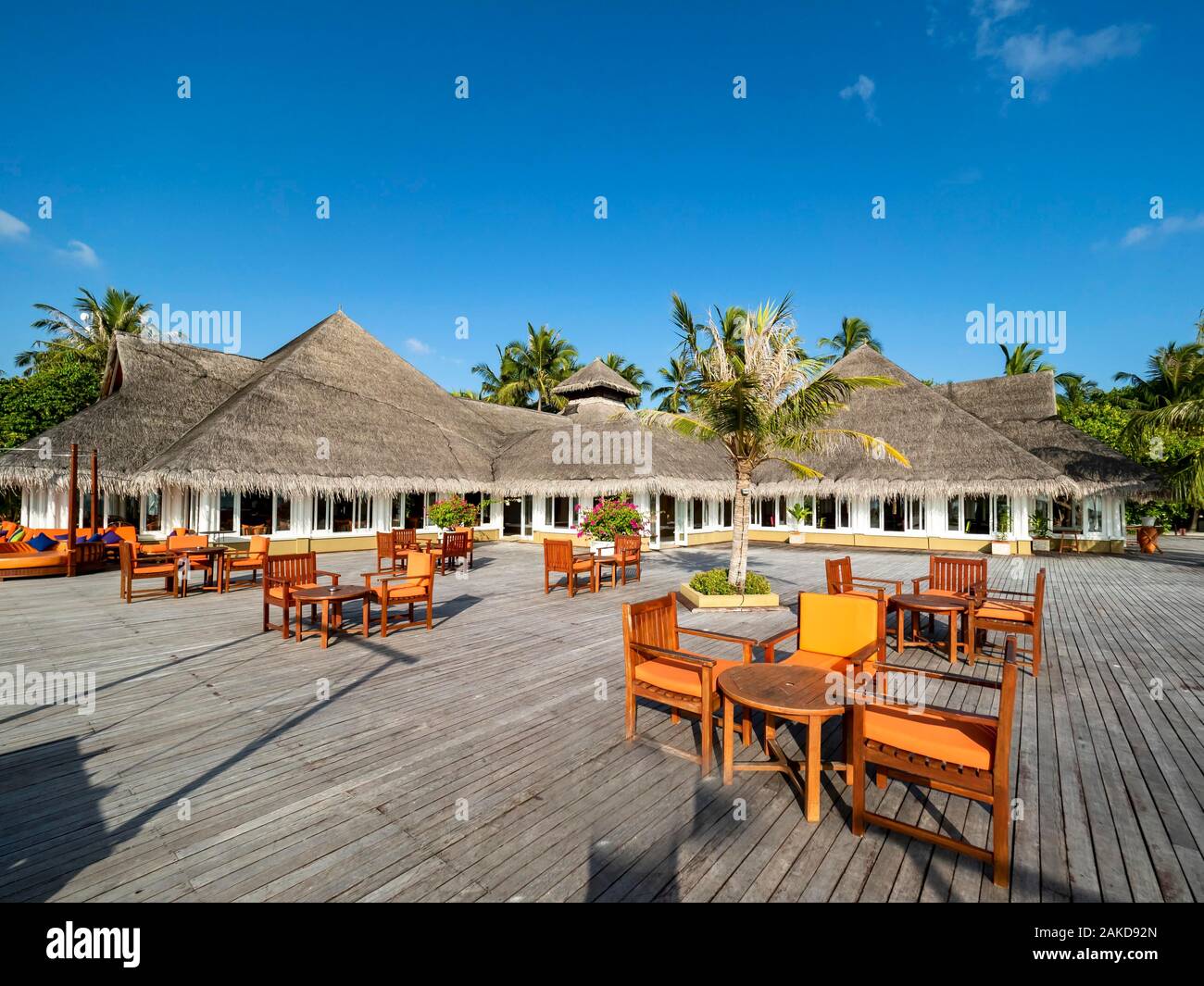 Tourist Resort, Bungalows entre palmiers, l'île des Maldives, South Male Atoll, Maldives Banque D'Images