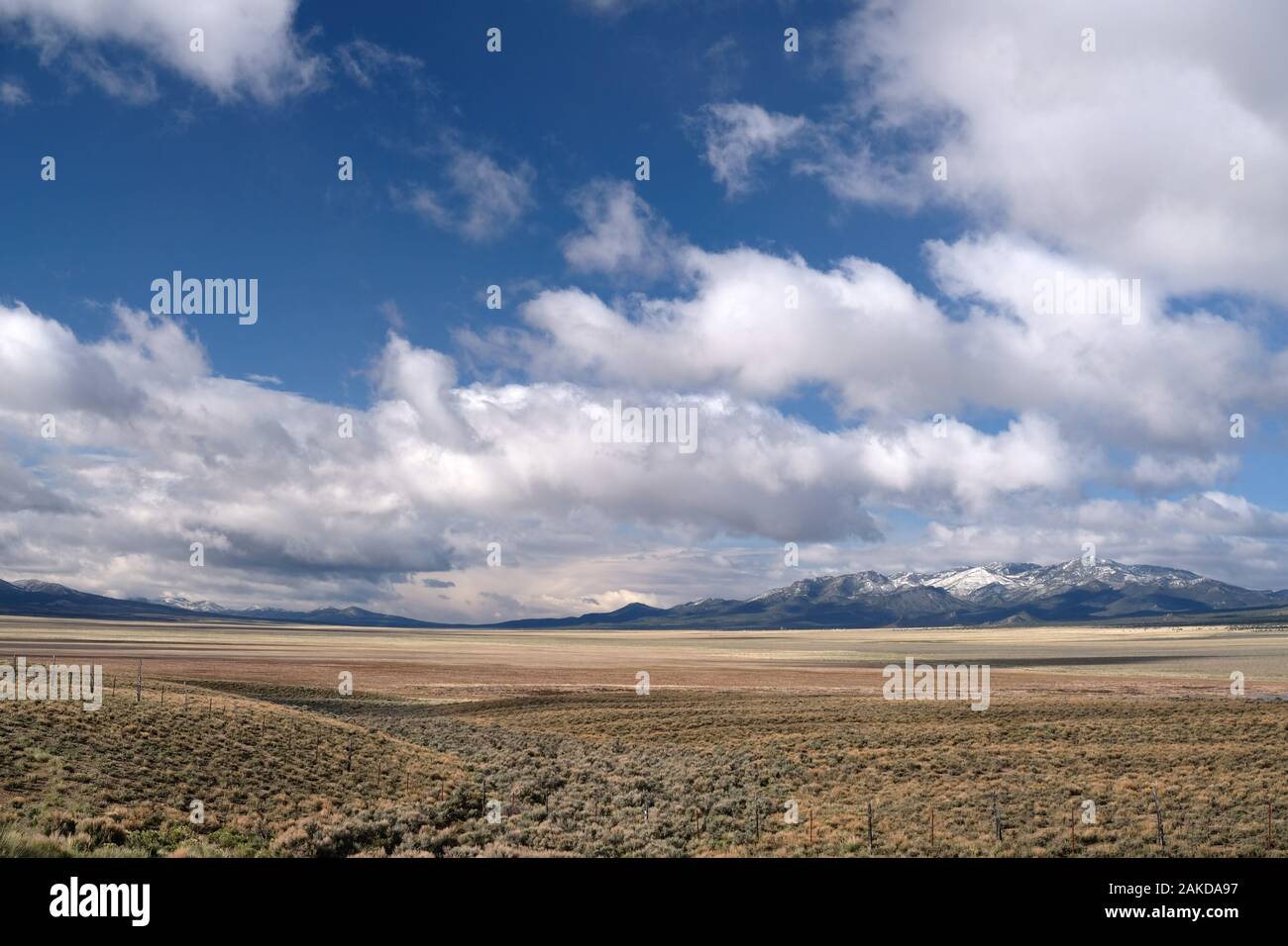 Vue sur le magnifique comté de White Pine, Nevada Banque D'Images