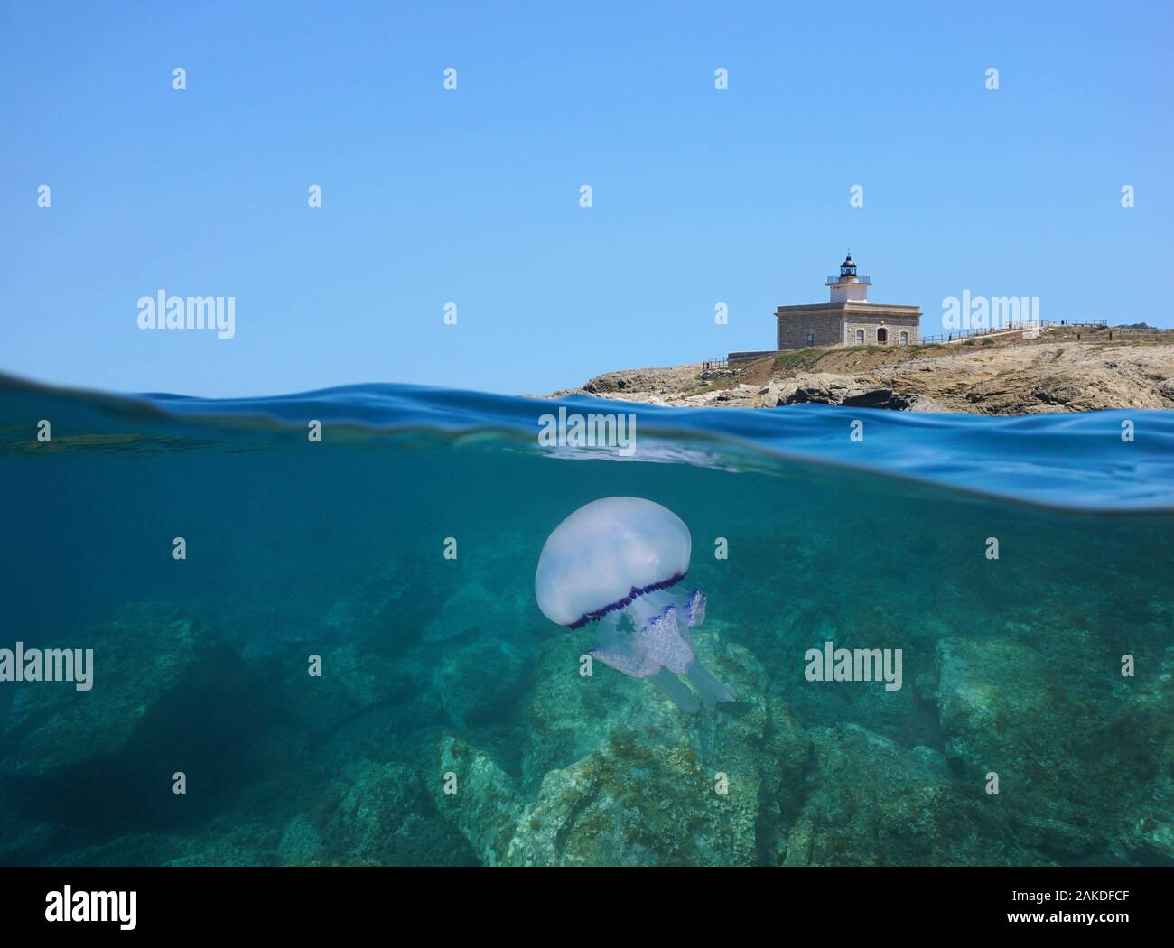 Le phare sur la côte rocheuse et d'une méduse sous l'eau, vue fractionnée, Espagne, mer Méditerranée, Costa Brava, Catalogne, El Port de la Selva Banque D'Images