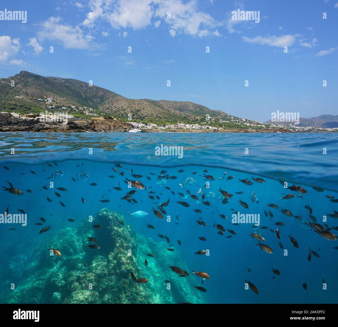 Espagne littoral méditerranéen et un banc de poissons sous l'eau, vue fractionnée sur et sous la surface de la mer, Costa Brava, Catalogne, El Port de la Selva Banque D'Images