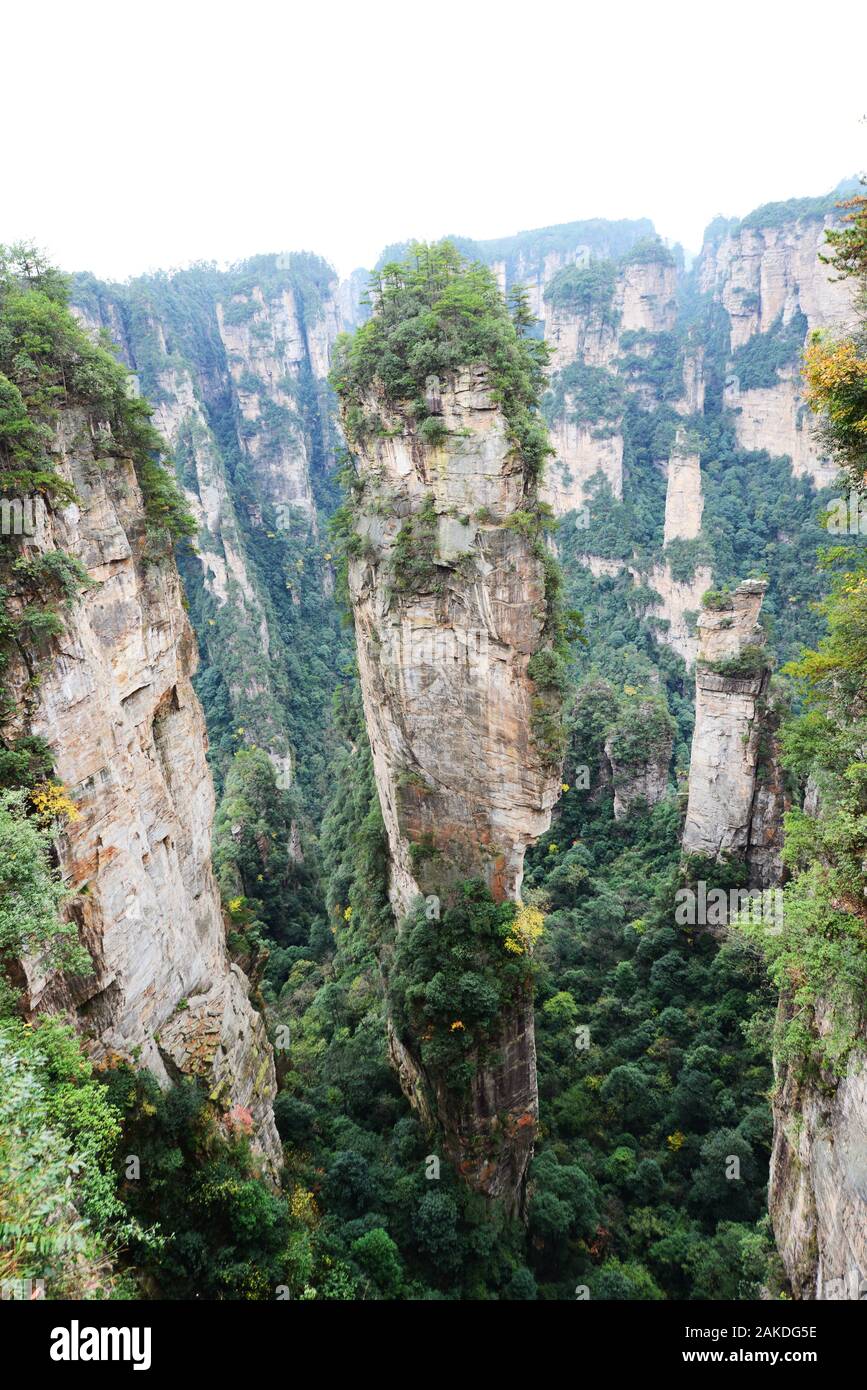 Paysage spectaculaire dans la région pittoresque de Wulingyuan à Zhangjiajie, en Chine. Banque D'Images