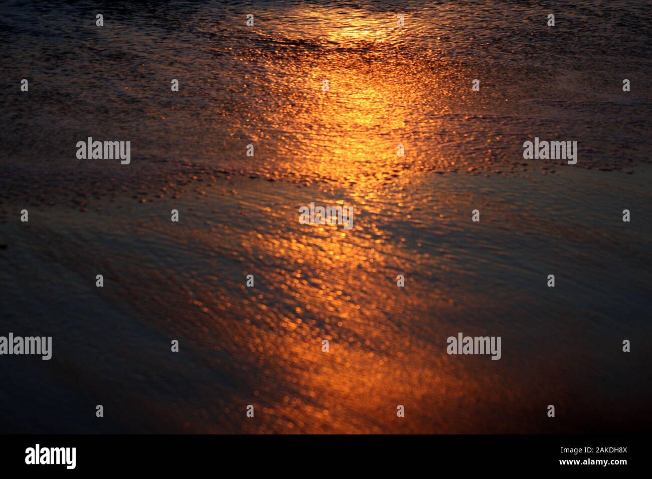 Reflet de la lumière au coucher du soleil dans le sable sur la rive de l'océan Atlantique, USA Banque D'Images