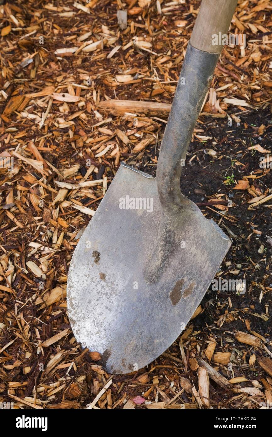 Gros plan d'un jardin en acier pelle et le paillis d'écorce d'arbres et de copeaux. Banque D'Images