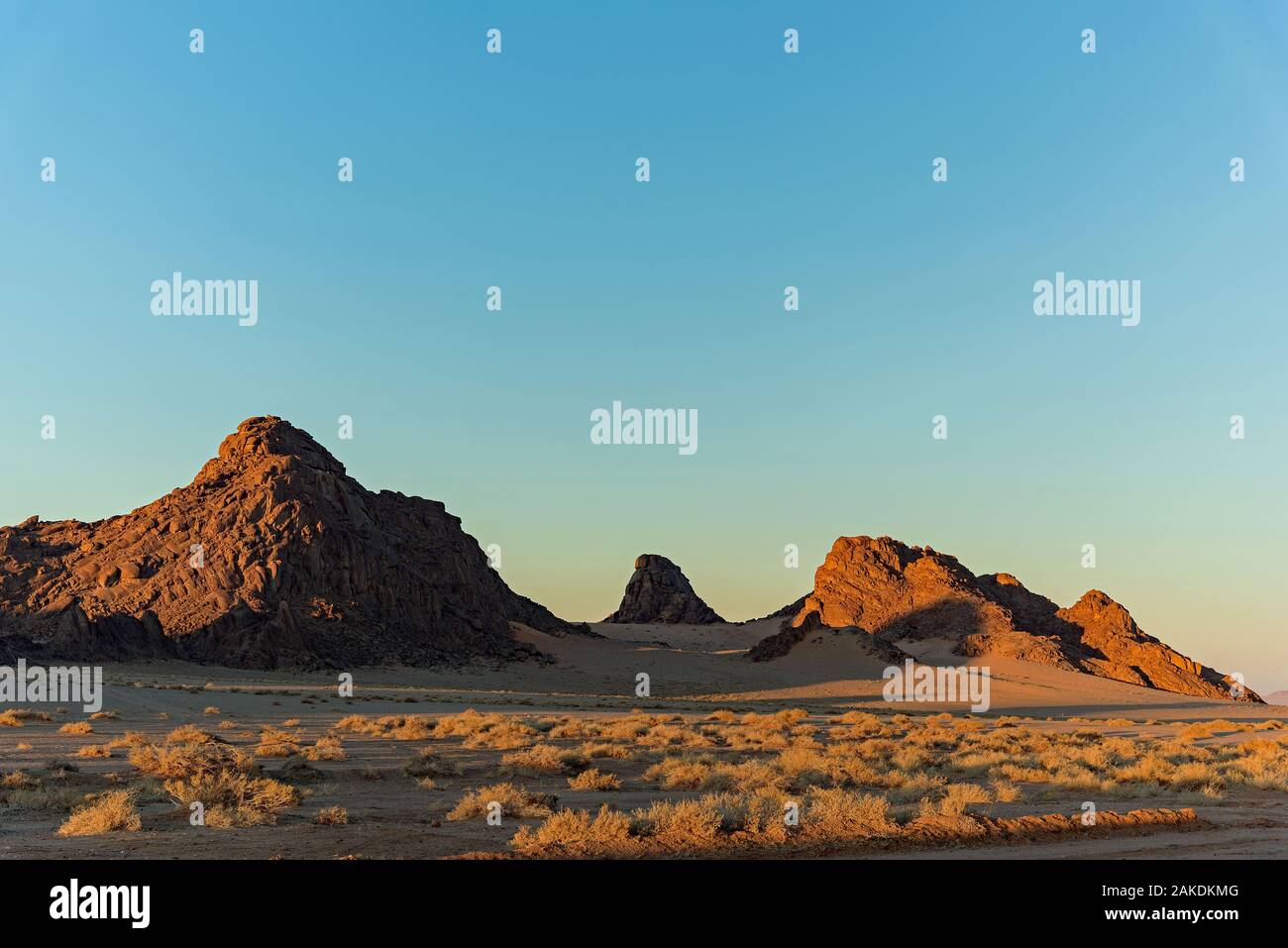 Paysages du désert Banque D'Images