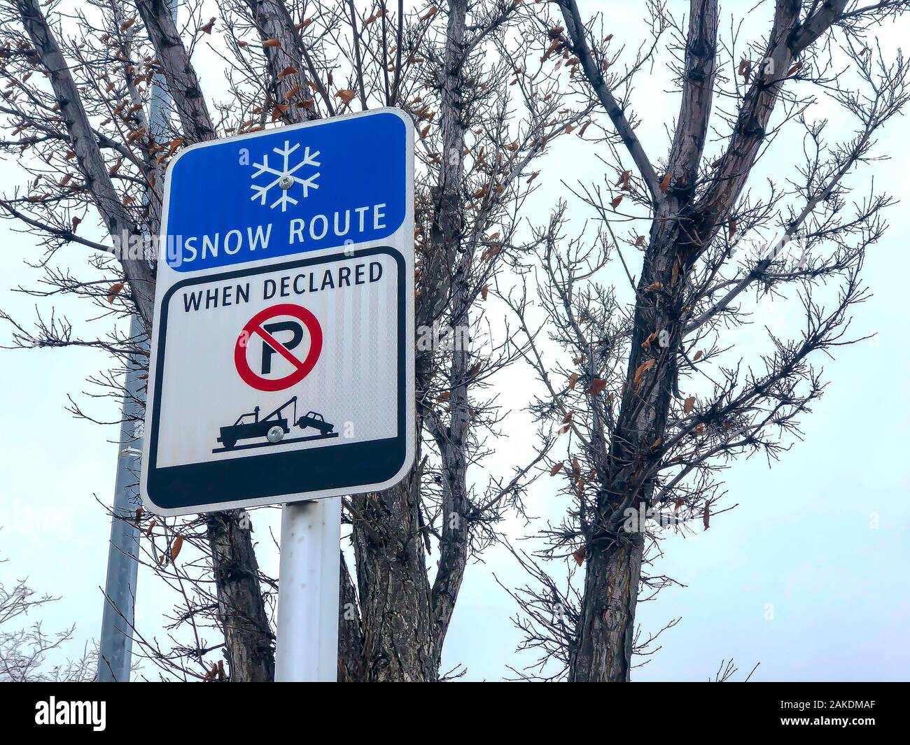 Une route de neige lors de l'interdiction de stationnement ont déclaré ne pas signer avec un flocon de neige Banque D'Images