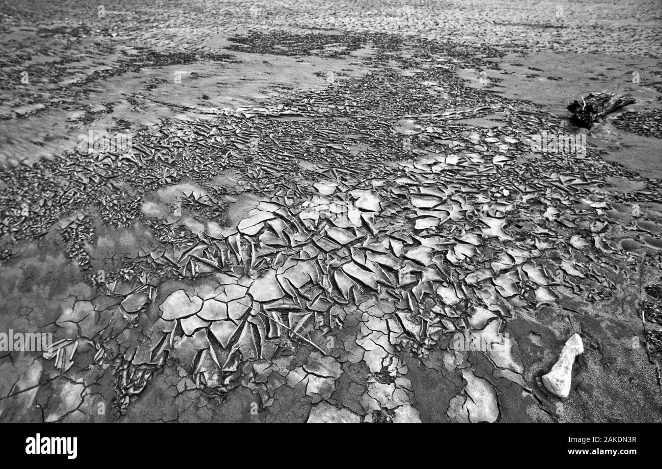 sécheresse Banque D'Images