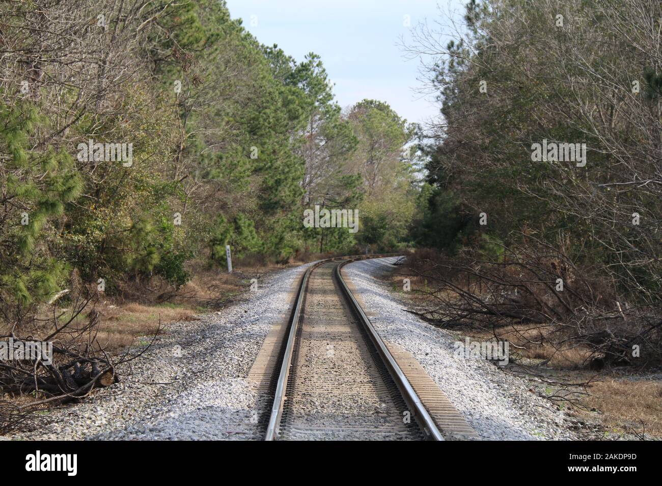 Les rails courbes railroad crossing rail bois forêt Banque D'Images
