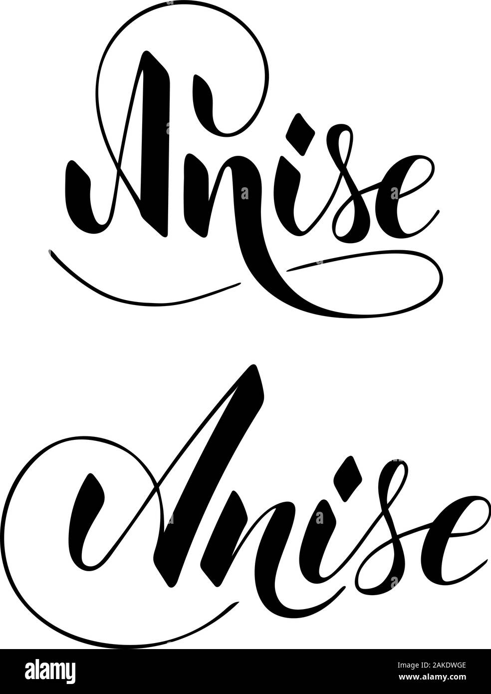 Vector hand written anis texte isolé sur fond blanc. Saine cuisine fines herbes et épices pour la cuisine. Brushpen Script avec lettrage s'épanouit. Illustration de Vecteur