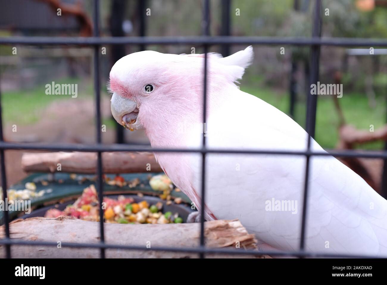 Sanctuaire de lune Wildlife Park Banque D'Images