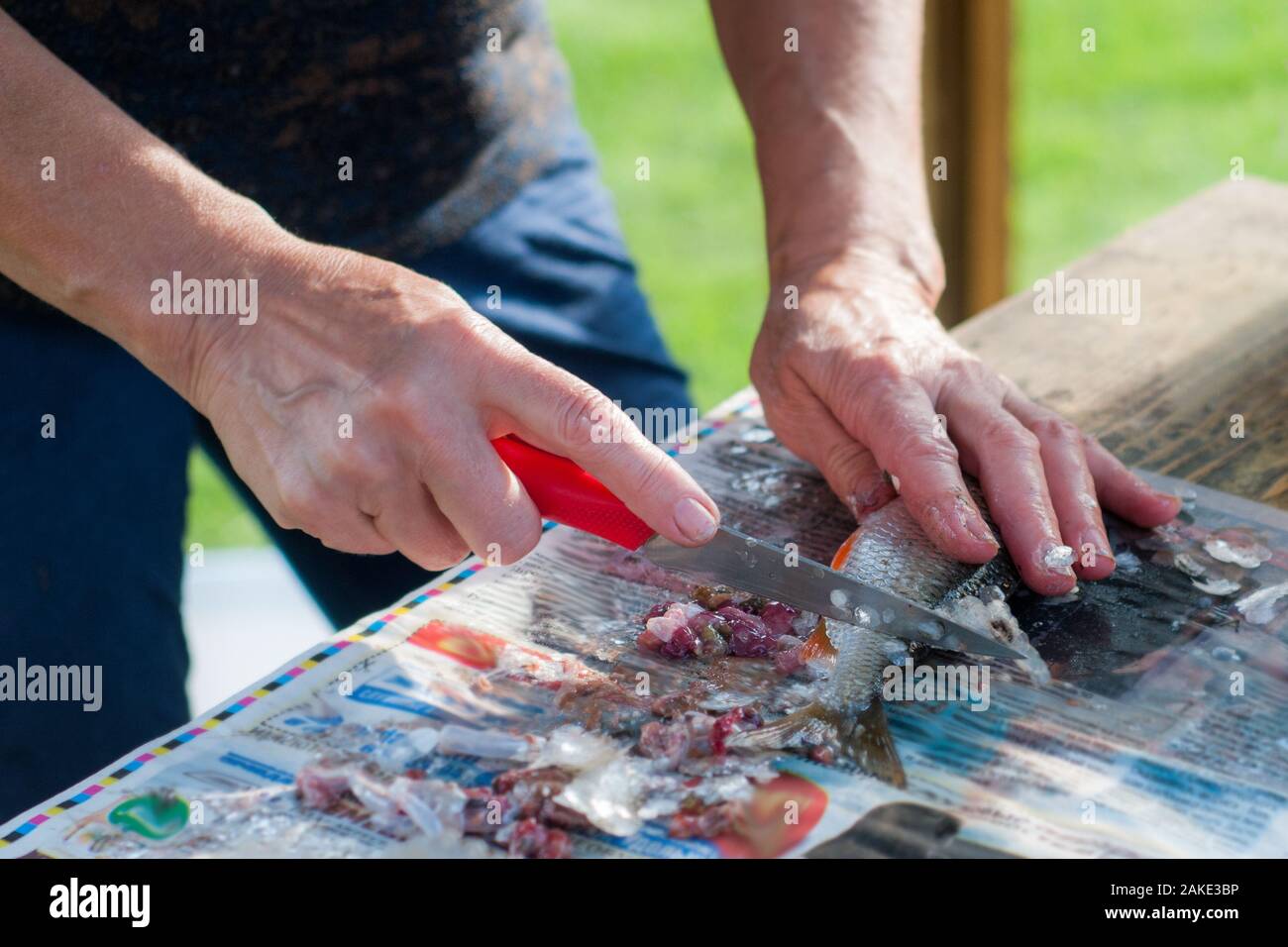 Une femme est en train de nettoyer le poisson sur un journal. Banque D'Images