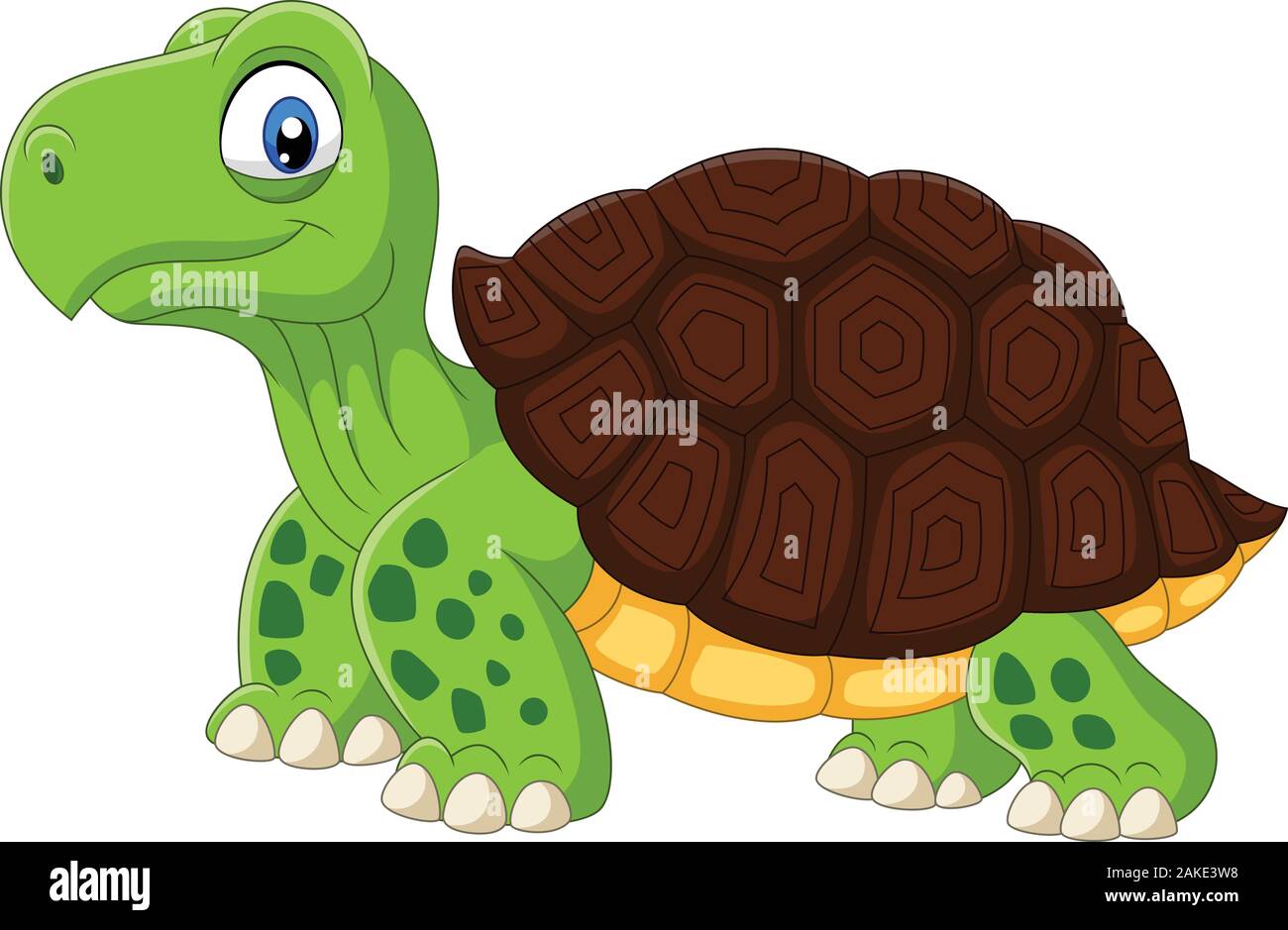 Cartoon funny turtle isolé sur fond blanc Illustration de Vecteur