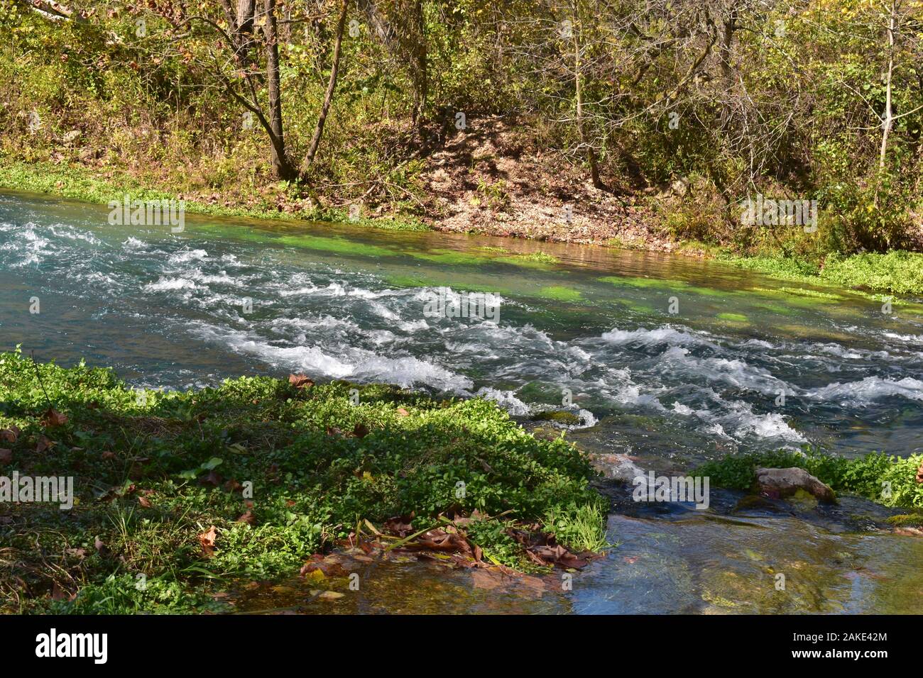 Welch Spring coule dans la rivière Current, près de Jadwin, Missouri