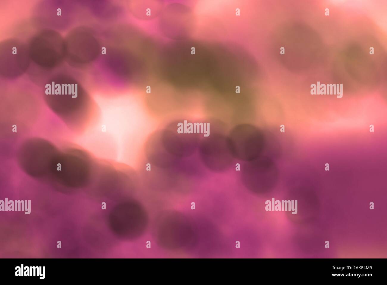 De nombreuses bactéries blured close up sous le microscope. Abstract Banque D'Images
