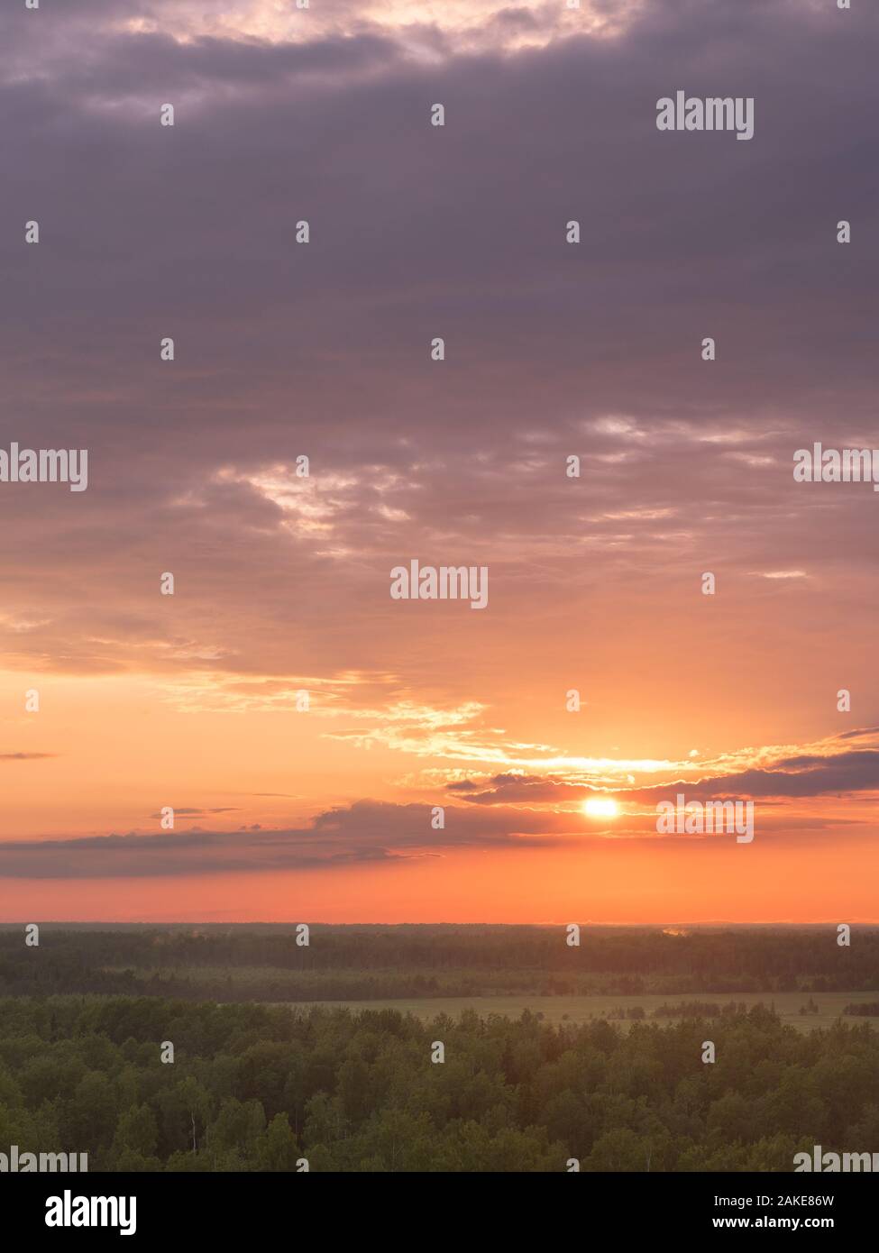 Ciel coloré et silhouette de forêt au coucher du soleil Banque D'Images