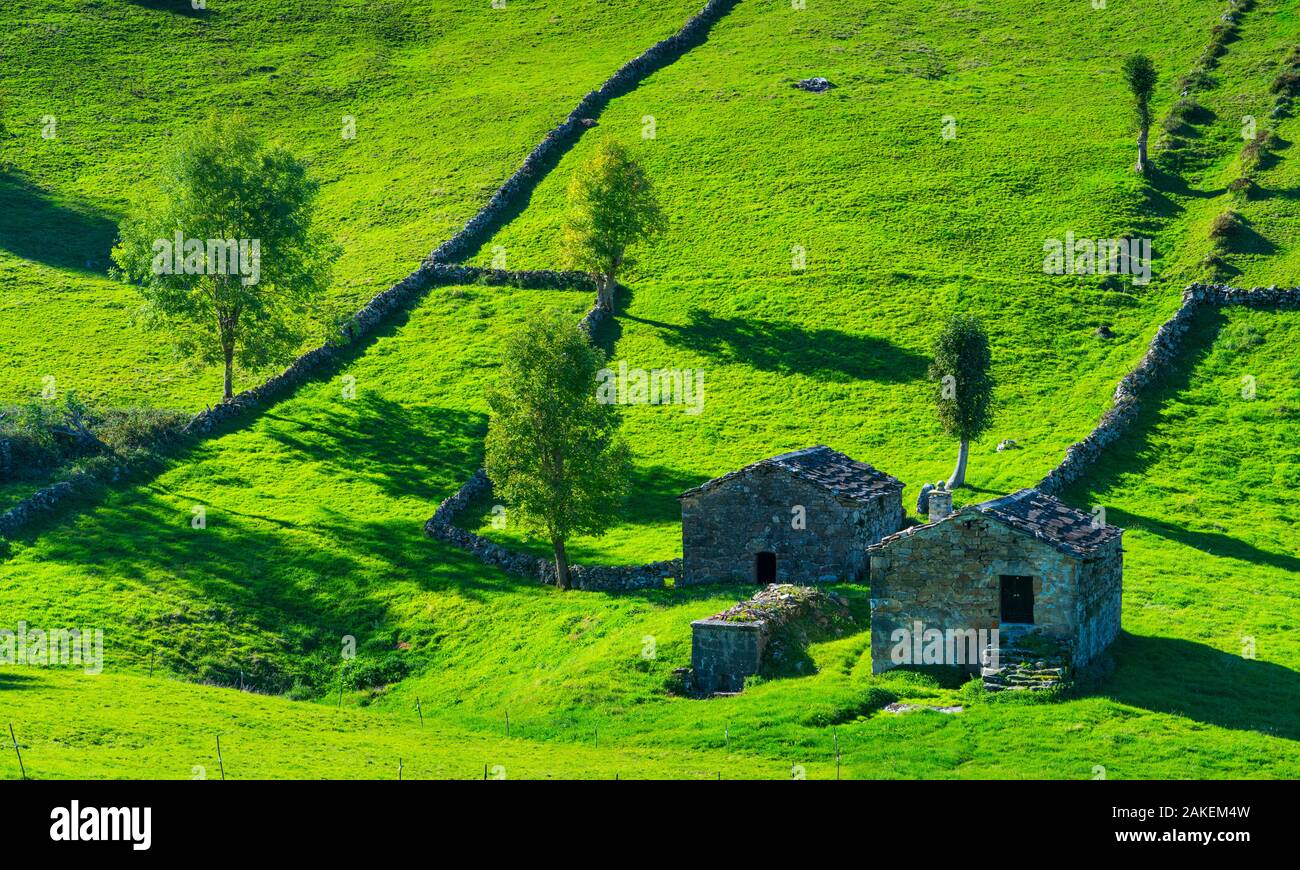 Cabana pasiega bâtiments et Meadows, Miera Vallée, Valles Pasiegos, Cantabrie, Espagne. Octobre, 2017. Banque D'Images