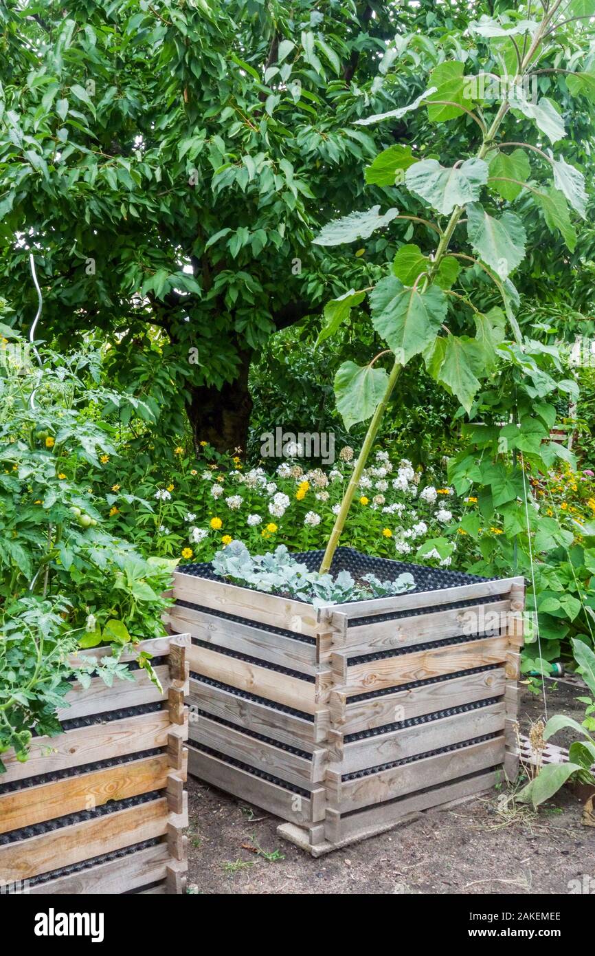 Bac à compost en bois dans un jardin Banque D'Images