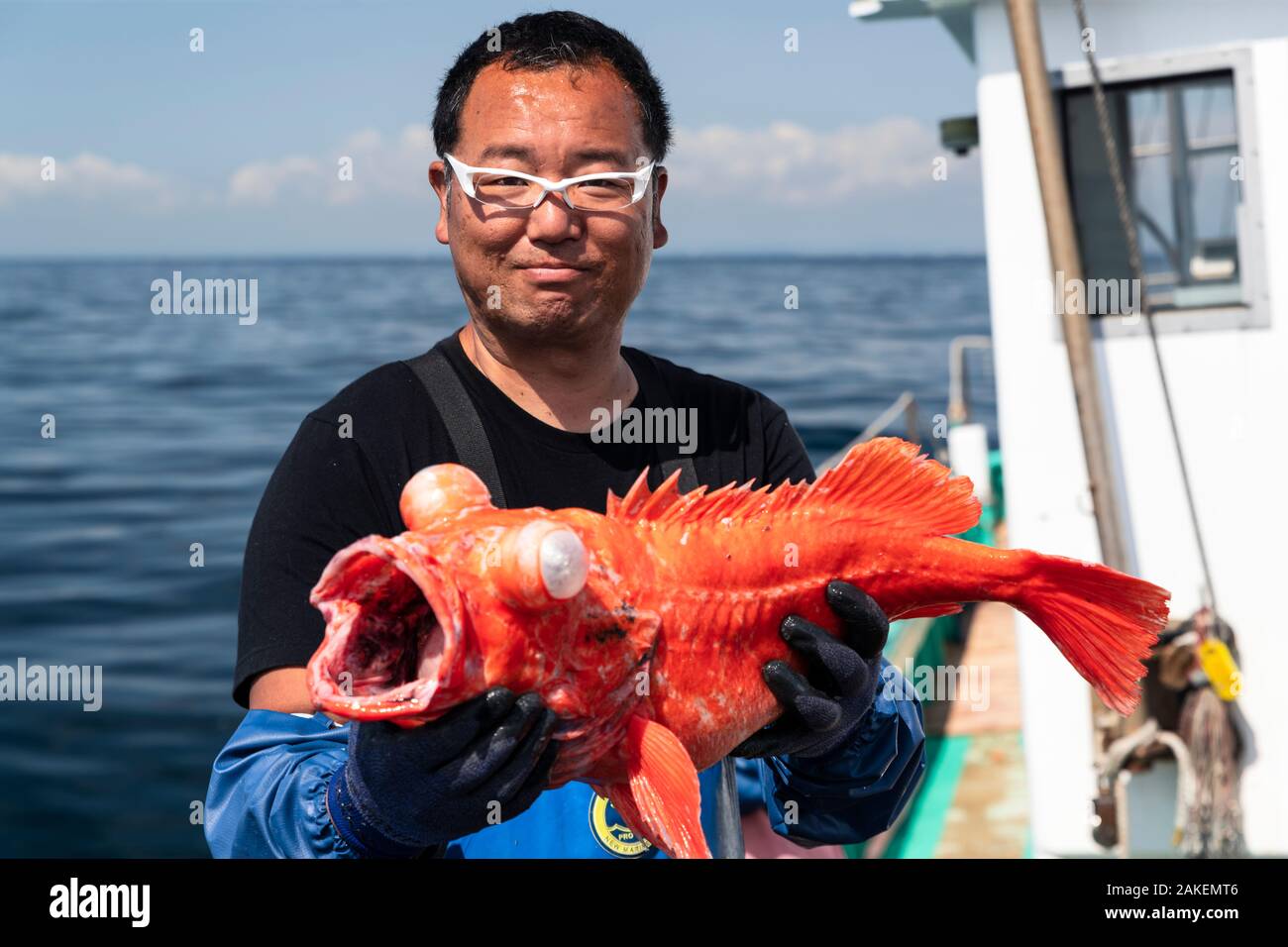 Fisherman holding de sébaste (Sebastes matsubarai) sur le bateau, pris dans la mer profonde. La baie de Suruga, Shizuoka Prefecture, Honshu, Japon. Avril 2018. Banque D'Images