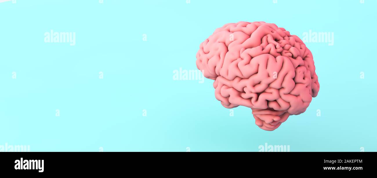 Cerveau rose sur fond bleu le rendu 3D Banque D'Images