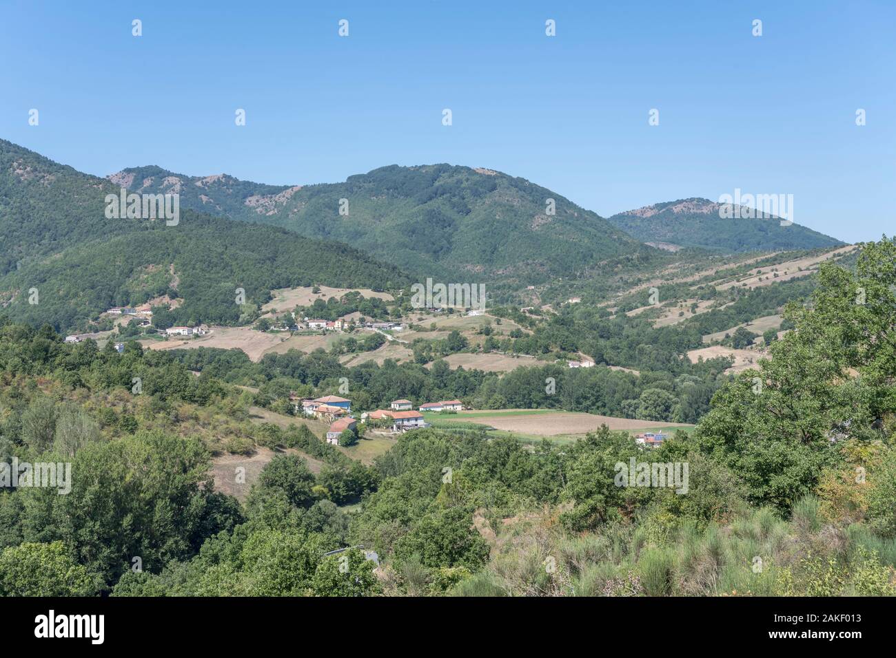 Paysage vallonné du Sud de l'Apennin avec de fermes entre bois et champs, tourné en été lumineux lumière près de Moliterno, vallée de l'Agroalimentaire, Potenza, Basilicate, Banque D'Images