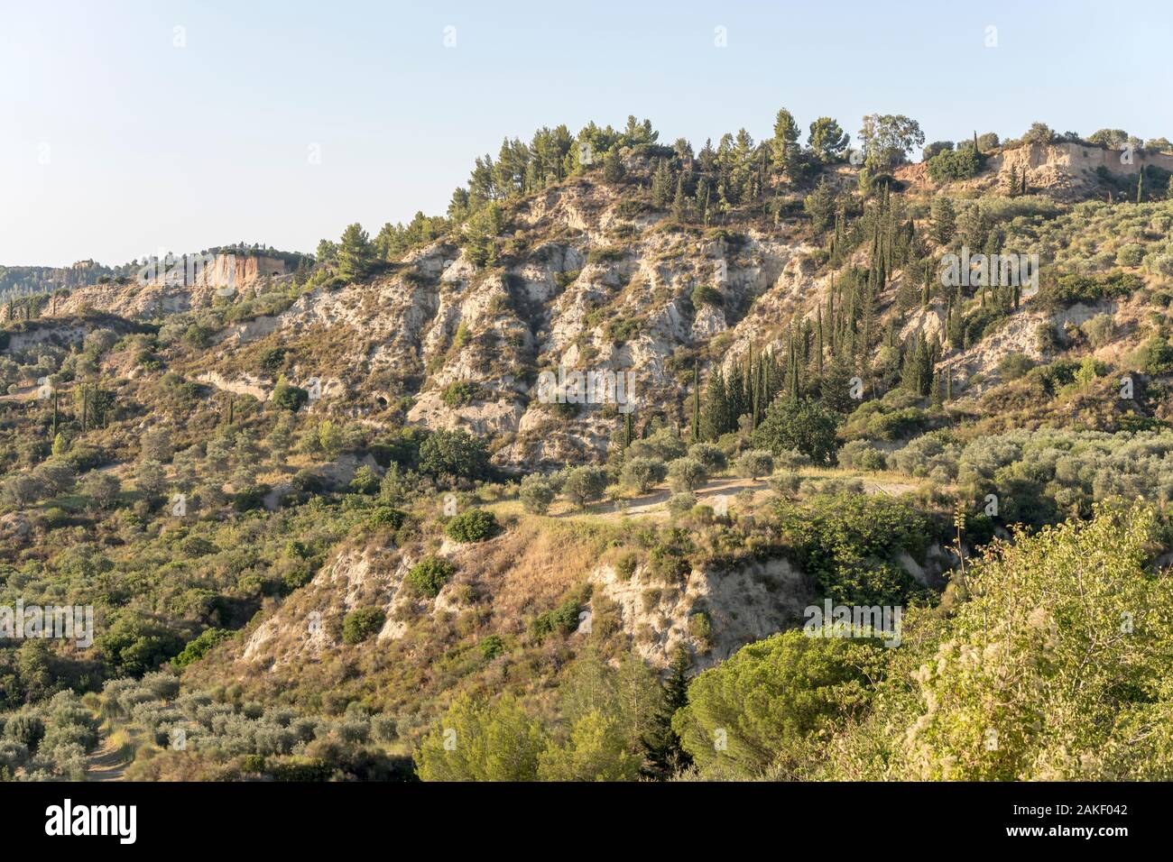 Paysage du sud de l'Apennin à la végétation méditerranéenne luxuriante sur ravin, tourné en été lumineux lumière près de Roccanova, Potenza, Basilicate, Italie Banque D'Images
