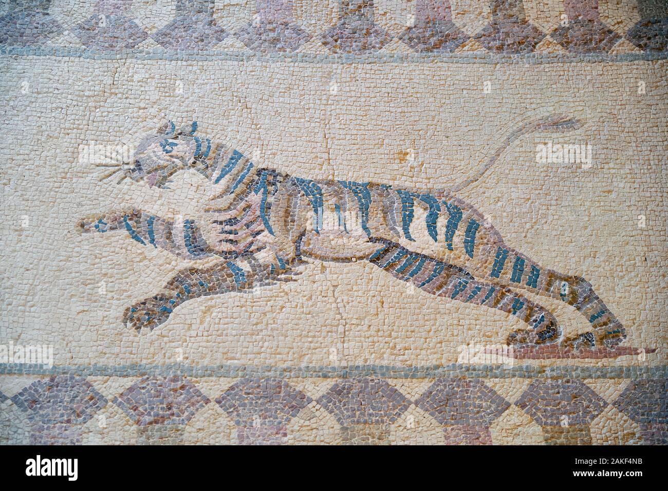 PAPHOS, Chypre - Juin 08, 2018 : Élément de mosaïque représentant la scène de chasse sous Tiger représentant sur le sol de la villa Dionysos. Paphos Archaebactérie Banque D'Images