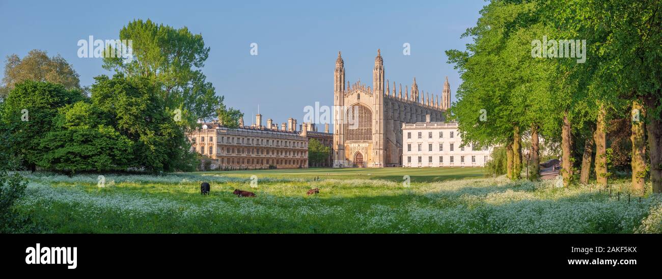 Royaume-uni, Angleterre, Cambridge, Cambridgeshire, le dos, King's College, King's College Chapel Banque D'Images
