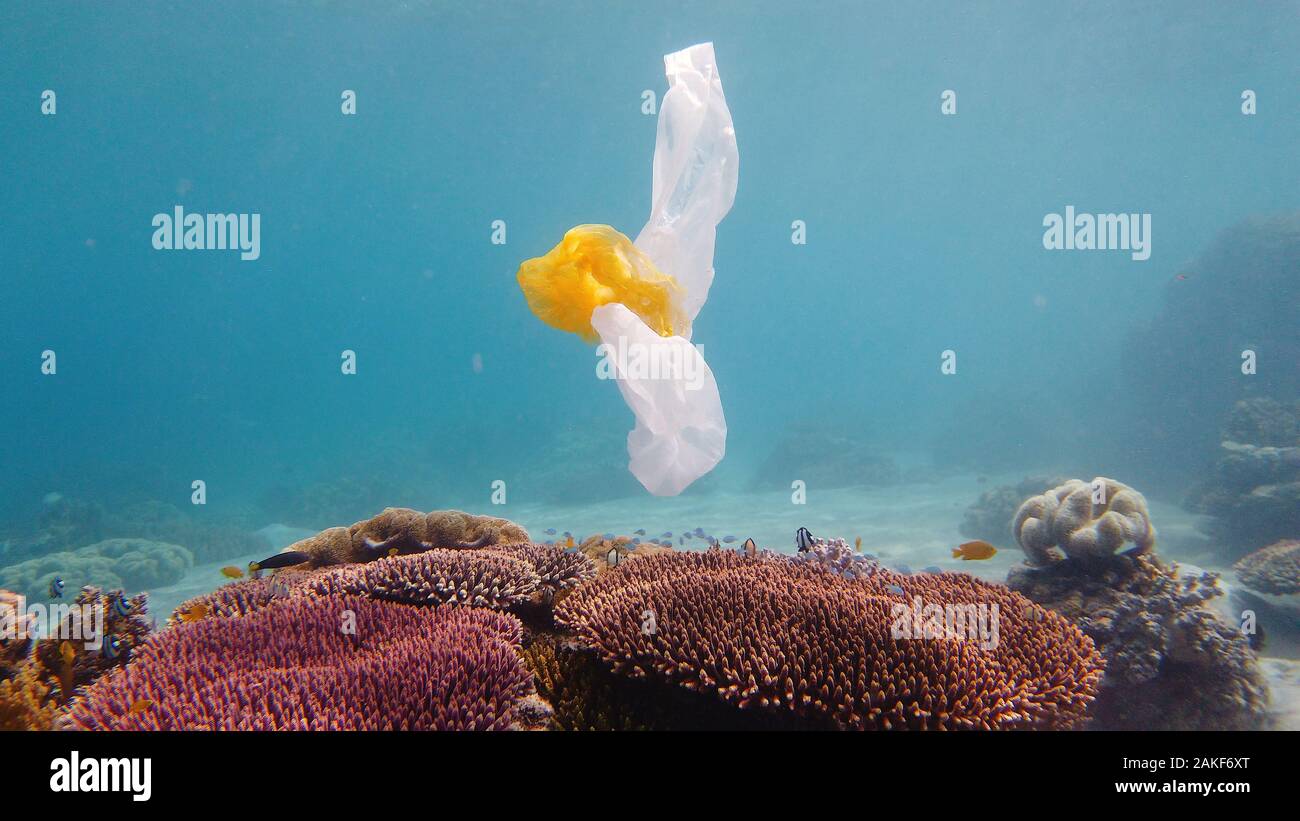 Sac en plastique polluant une barrière de corail, la pollution de  l'environnement. Sac en plastique polluant récif de corail. Problème  écologique Photo Stock - Alamy