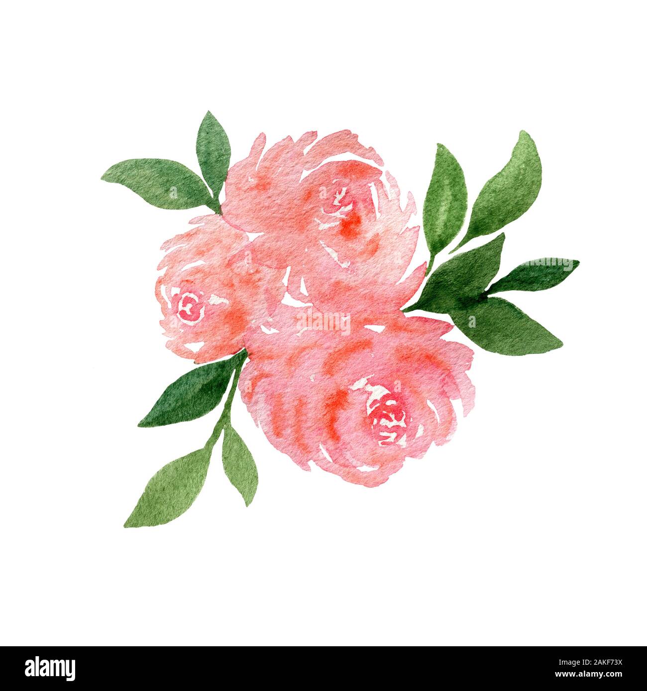 Fleurs bouquet de rose rose isolé sur blanc, Aquarelle Décoration florale, rose floral design pour la Saint-Valentin ou la mère jour Banque D'Images