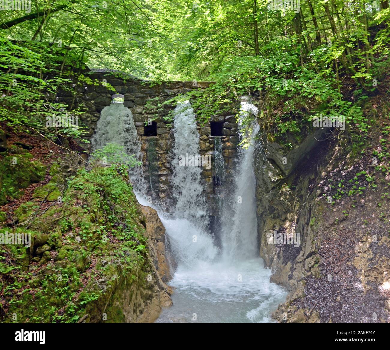 Wolfsklamm cascade entourée d'arbres en Autriche. Banque D'Images