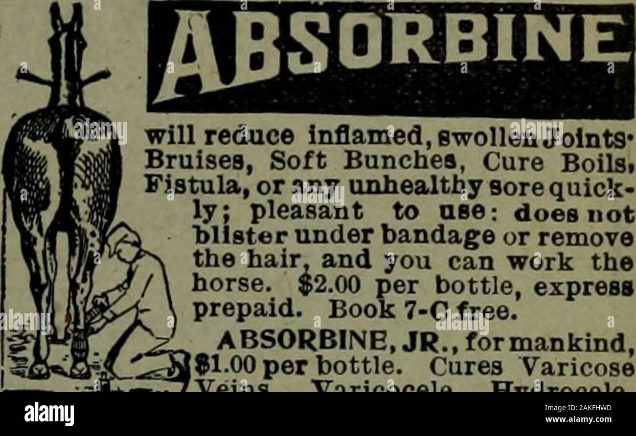 Canadian Grocer Juillet-décembre 1908 . . Va réduire l'inflammation, gonflement des articulations*contusions, des bouquets, guérir les furoncles&gt;la fistule, ou n'importe quel maux malsains ly-rapide ; agréable à ase ; les cotisations syndicales notblister sous pansement ou retirez des cheveux, et vous pouvez travailler thehorse. 2,00 $ par bouteille, expressprepaid. Livre 7-C gratuit. ABSORBINE,JR. formankind,,1$1.00 par bouteille. Les Varices traitements néant °° varicocèle hydrocèle, souches, braises, arrête la douleur et l'inflammation. W.F. Vous^G, P.D.F.,204 Monmouti ingteld St., Sp. Mass.Canlian les agents. SOHS LYMAN & Co., Montréal. Essayez un condensé 4d dans le Canadian Grocer Qualité Supérieure Canada Firs Banque D'Images