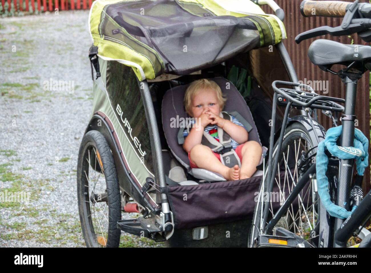 Tout-petit dans la remorque de vélo Allemagne enfant remorque de vélo tout-petit seul Banque D'Images