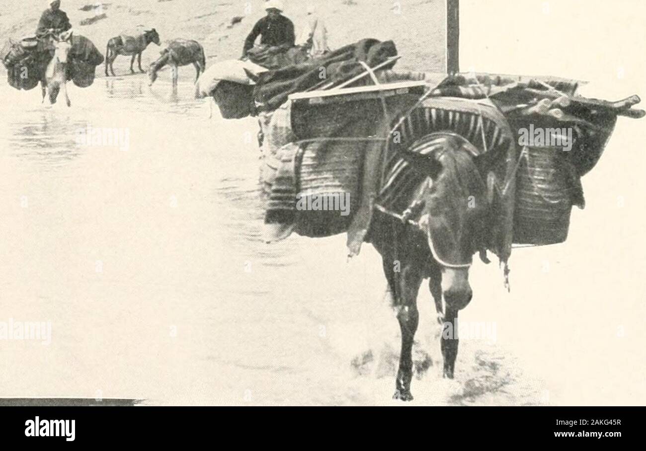 Le Burton Holmes conférences ; . Un PI.ACH CALI.DK BOCHARI de-main. Il attrape l'argent dans l'air, ou fait semblant d'hnd itin leur voile ou manches.. UK-^mv f 264 L'empire maure Encouraj^ed par liis succès, je mettent en jeu les skillacquired dans mes jours d'écolier, lorsqu'Hermann, stod pas-dard, était l'homme dont la carrière semblait plus tentants tome. Moi aussi, j'ai win sourit de surprise et me demande expres-sions-frappé de la gens simples de lider en avalant des andcorks, effectuant des cartes astuces, ou choisir d'thefolds sous de vêtements en lambeaux. Le dernier pli est le plus populaire, pour la lar-pièces sont Banque D'Images