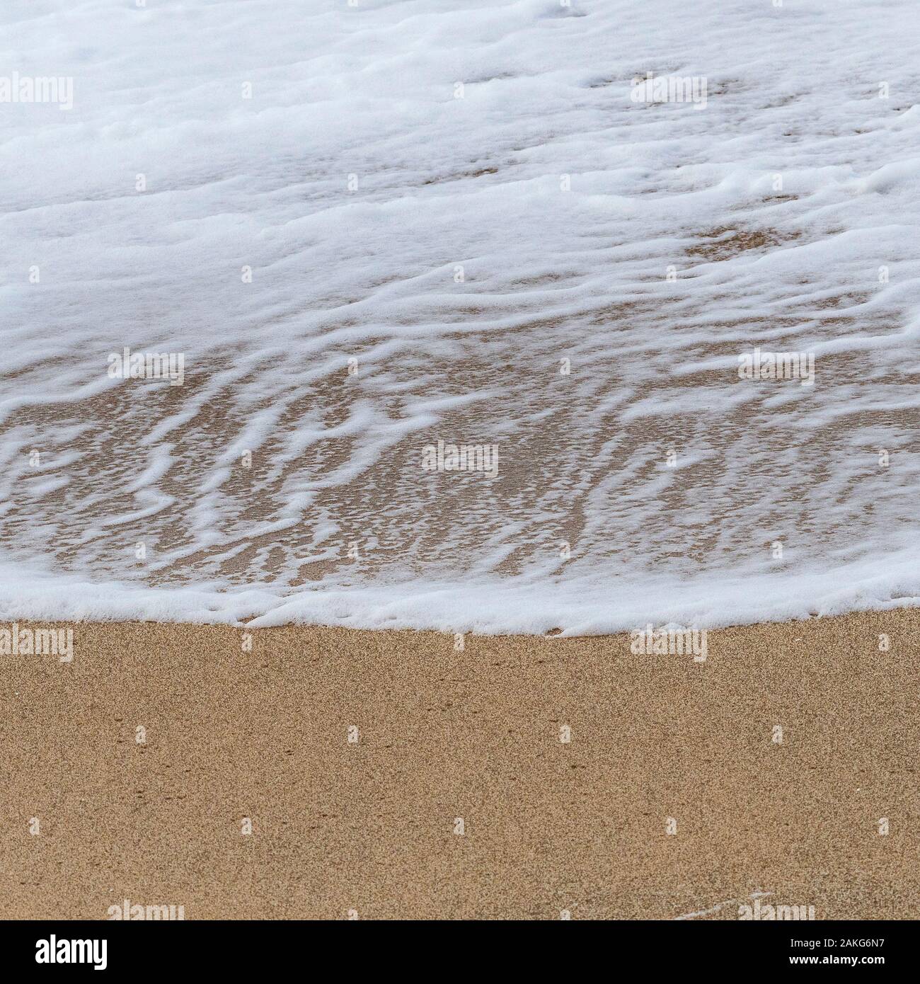 La mousse d'une petite vague abandonné sur une plage que la vague se retire. Banque D'Images