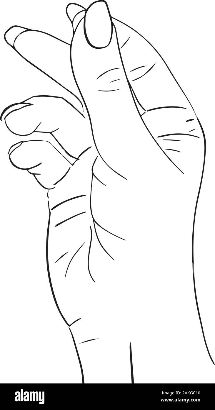 Main de femme à la main avec les doigts, les chélydres serpentines. Illustration de Vecteur