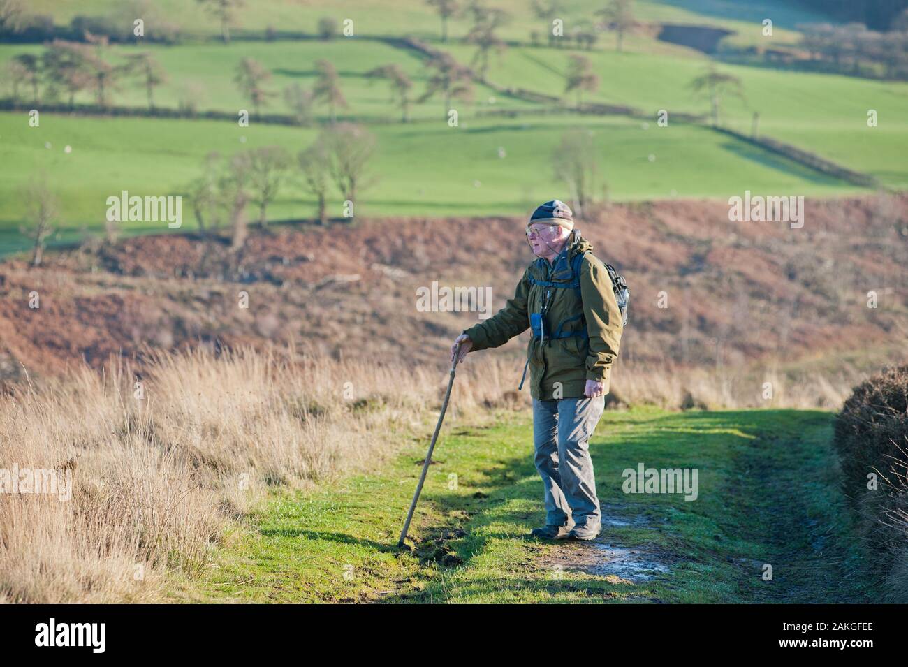 Couple de personnes âgées dans leurs années 80 randonnées sur Hawnby Hill, North Yorkshire. Banque D'Images