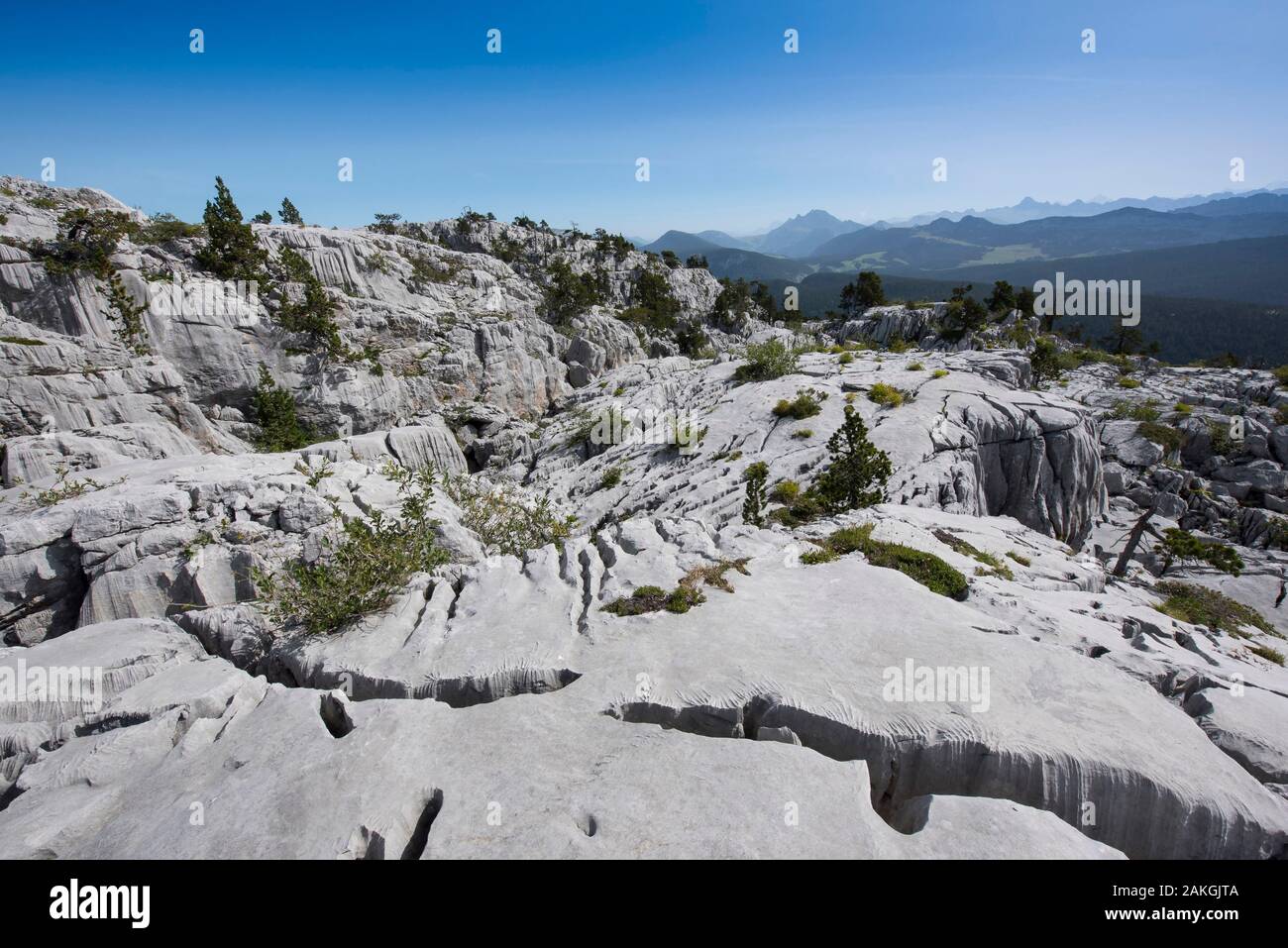 France, Haute Savoie, Bornes massif, trek itinérant jour 2, dans la vraie  pierre lapias sous le glacier Parmelan ridge Photo Stock - Alamy