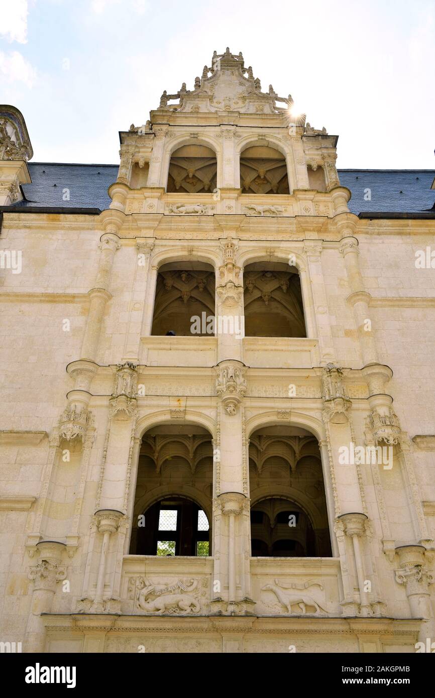 France, Indre et Loire, Vallée de la Loire classée au Patrimoine Mondial de l'UNESCO, château d'Azay le Rideau, construit de 1518 à 1527 par Gilles Berthelot, style Renaissance, escalier d'honneur, symbole de la salamandre de François 1 Banque D'Images