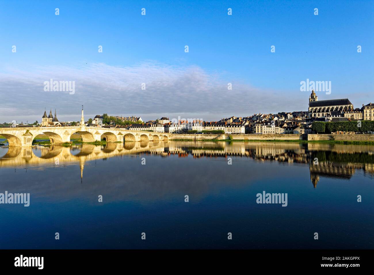 France, Loir et Cher, vallée de la Loire classée au Patrimoine Mondial de l'UNESCO, Blois, cathédrale St Louis avec Pont Jacques Gabriel, pont au-dessus de la Loire et en arrière-plan, le château et l'église de Saint Nicolas Banque D'Images