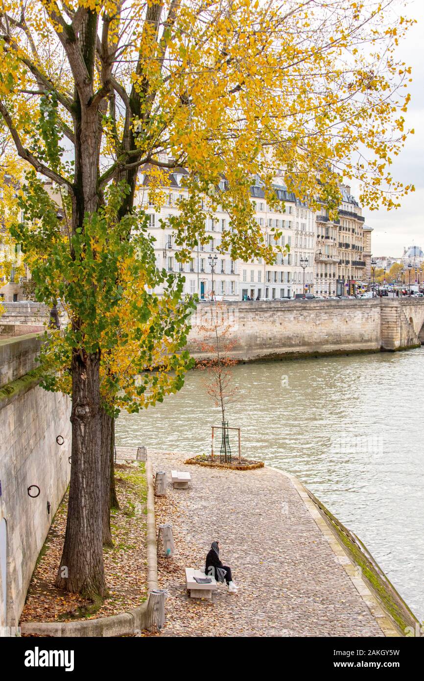 France, Paris, région classée au Patrimoine Mondial de l'UNESCO, les berges de Seine en automne , l'île Saint Louis Banque D'Images