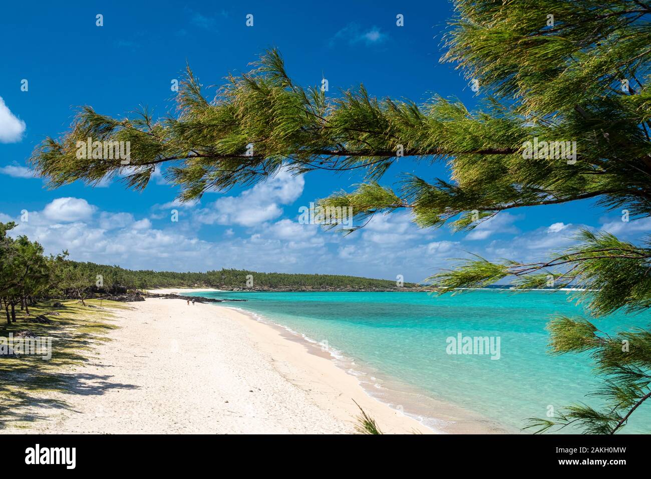 L'Ile Maurice, l'île Rodrigues, Anse Ally beach Banque D'Images