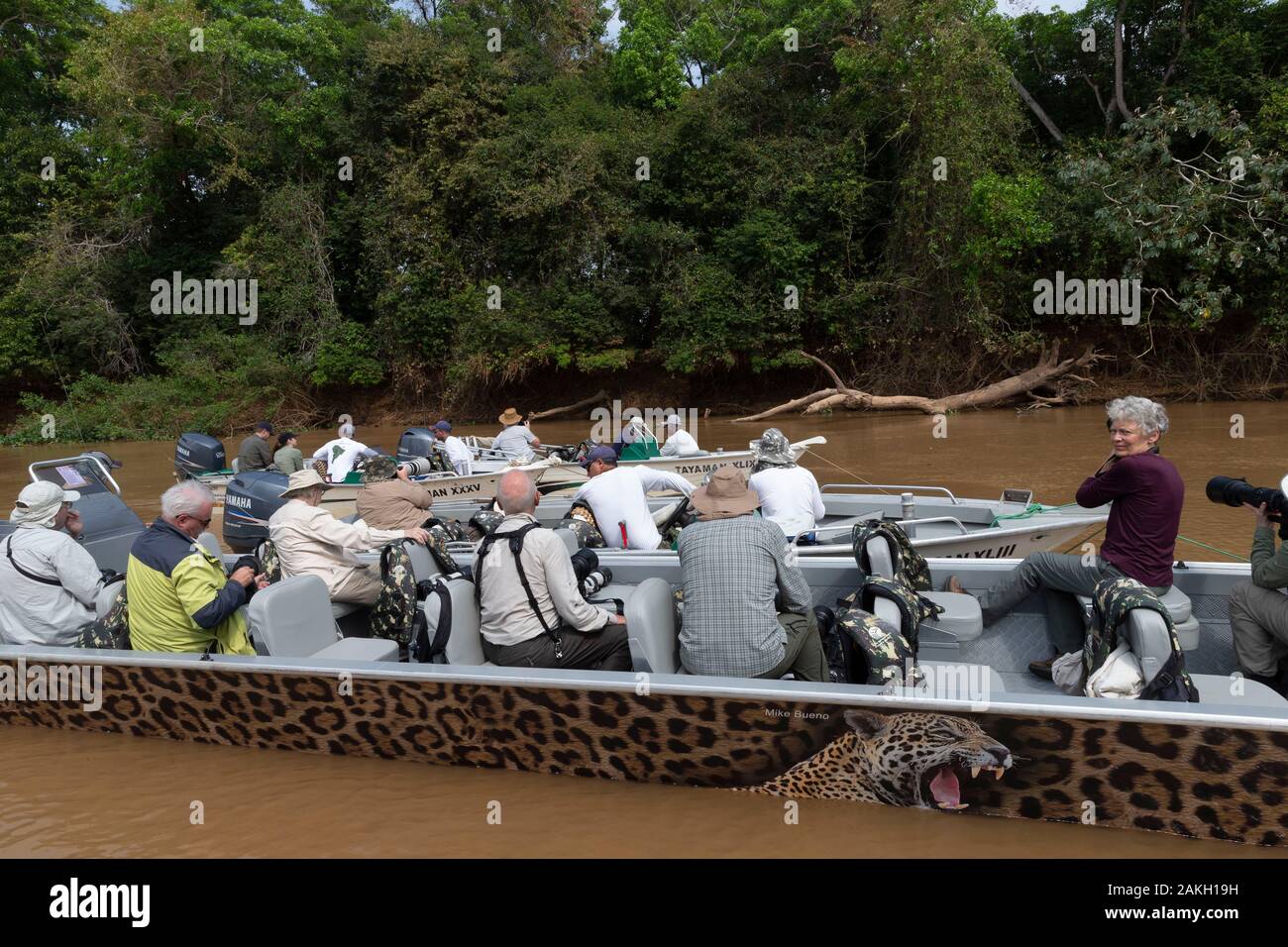 Brésil, Mato Grosso, région du Pantanal, les touristes sur la rivière Cuiaba, à la recherche du jaguar Banque D'Images
