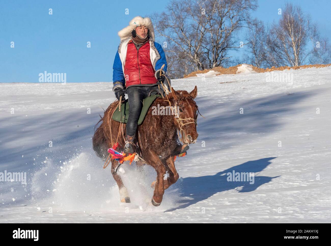 La Chine, la Mongolie intérieure, Province de Hebei, Zhangjiakou, Bashang prairie, un cavalier mongol sur un cheval dans un pré couvert de neige Banque D'Images