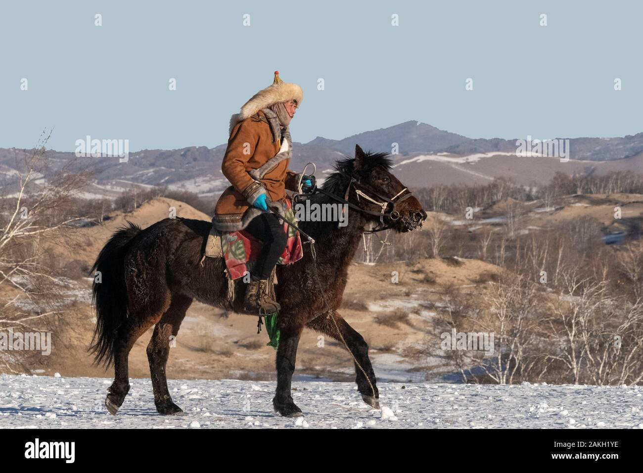 La Chine, la Mongolie intérieure, Province de Hebei, Zhangjiakou, Bashang prairie, un cavalier mongol sur un cheval dans un pré couvert de neige Banque D'Images